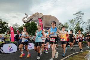 BIB: 
                            <button type="button" onclick="openModal(26528315)" class="btn btn-primary btn-sm float-right btn-popup" data-toggle="modal" data-target=".modal-high-quality">
                        <i class="fas fa-shopping-cart"></i> Add to Cart
                    </button>
                                            <button type="button" onclick="isThisMe(26528315, true)" class="btn btn-success btn-sm float-right btn-popup btn-isme hidden" data-toggle="tooltip" data-placement="bottom" title="นี่คือรูปของคุณใช่ไหม คลิกที่นี่เพื่อเอาเข้าอัลบั้ม">
                        <i class="fas fa-plus"></i> Add to album
                    </button>
                    <button type="button" onclick="isThisMe(26528315, false)" class="btn btn-warning btn-sm float-right btn-popup btn-isnotme hidden">
                        <i class="fas fa-ban"></i> Remove from album
                    </button>